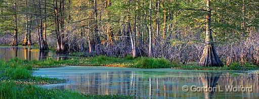 Lake Martin At Sunrise_46431-2.jpg - Photographed at Lake Martin near Breaux Bridge, Louisiana, USA.